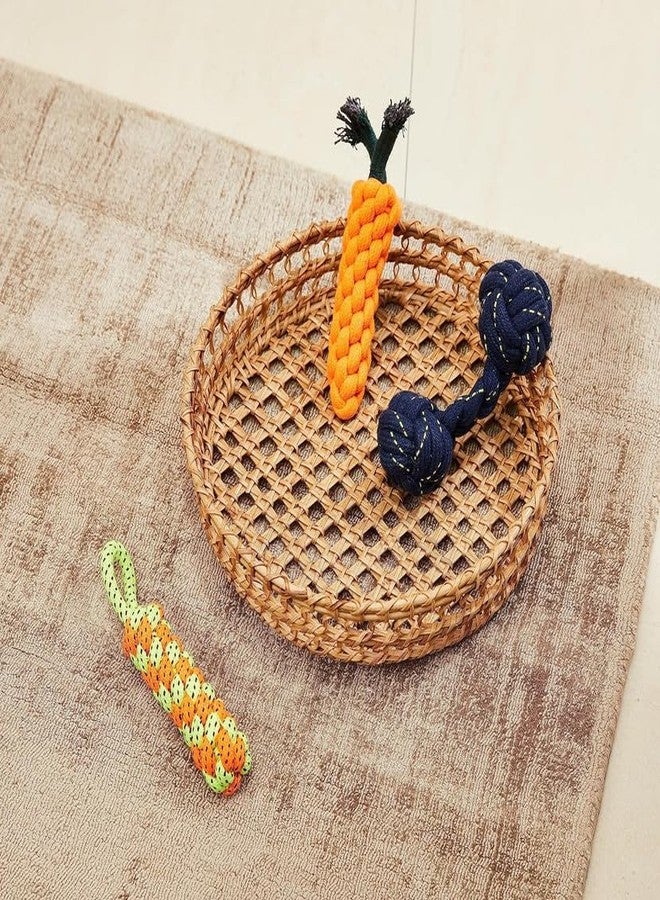KittuPet 5Pcs Dog Rope Toys for Small Dogs, Puppy Rope Toys from 8 Weeks Small Dog, Puppy Chew Toys Natural Cotton Dog Tug Toys Puppy Teething Toys for Puppys Small Mediuem Dogs - Image 3